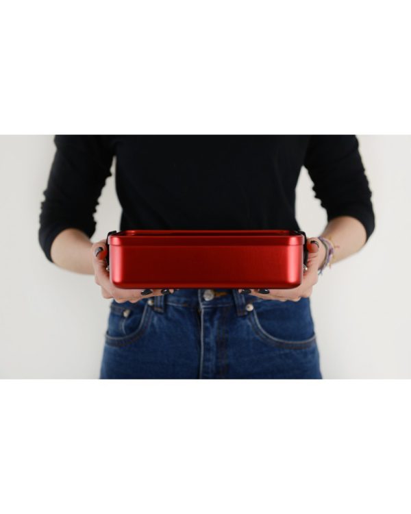 خرید ظرف غذای SIGG Large Metal Lunchbox Plus Red